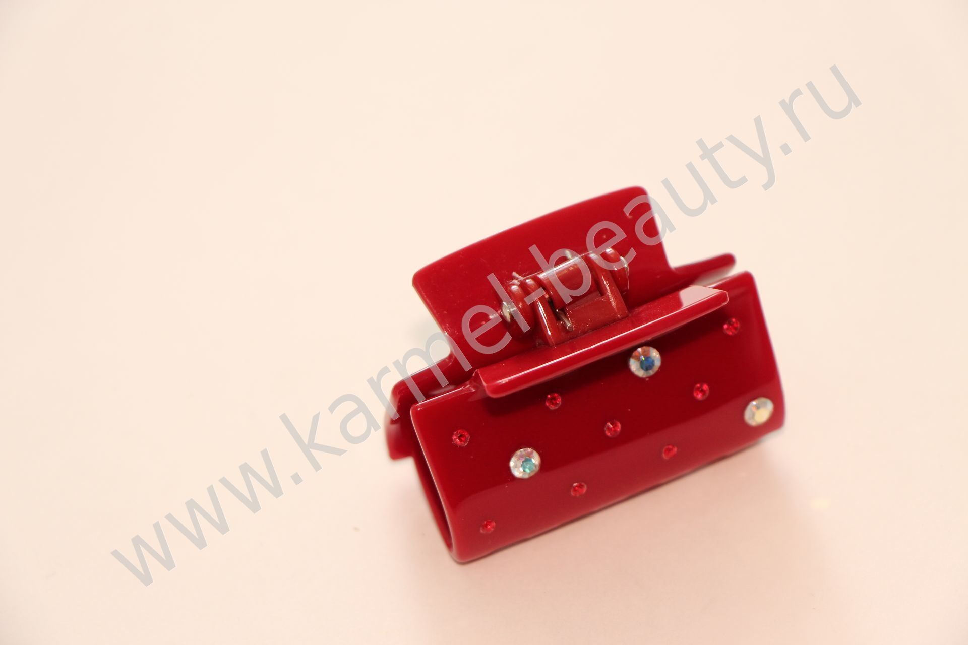 k2098_3105-25.jpg